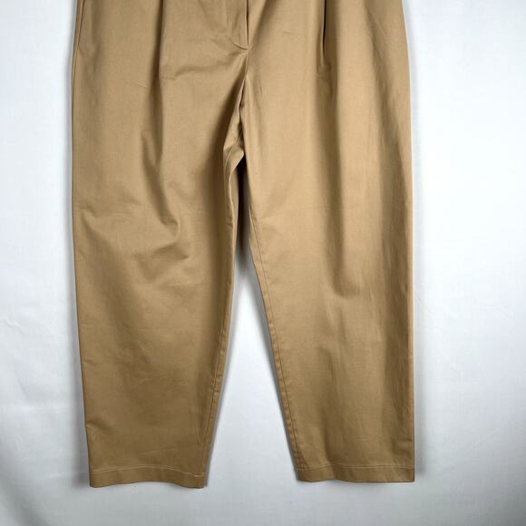 Anthropologie Exquise Tan Pleated Trousers Neutral Minimalist Workweae size L - Picture 3 of 12